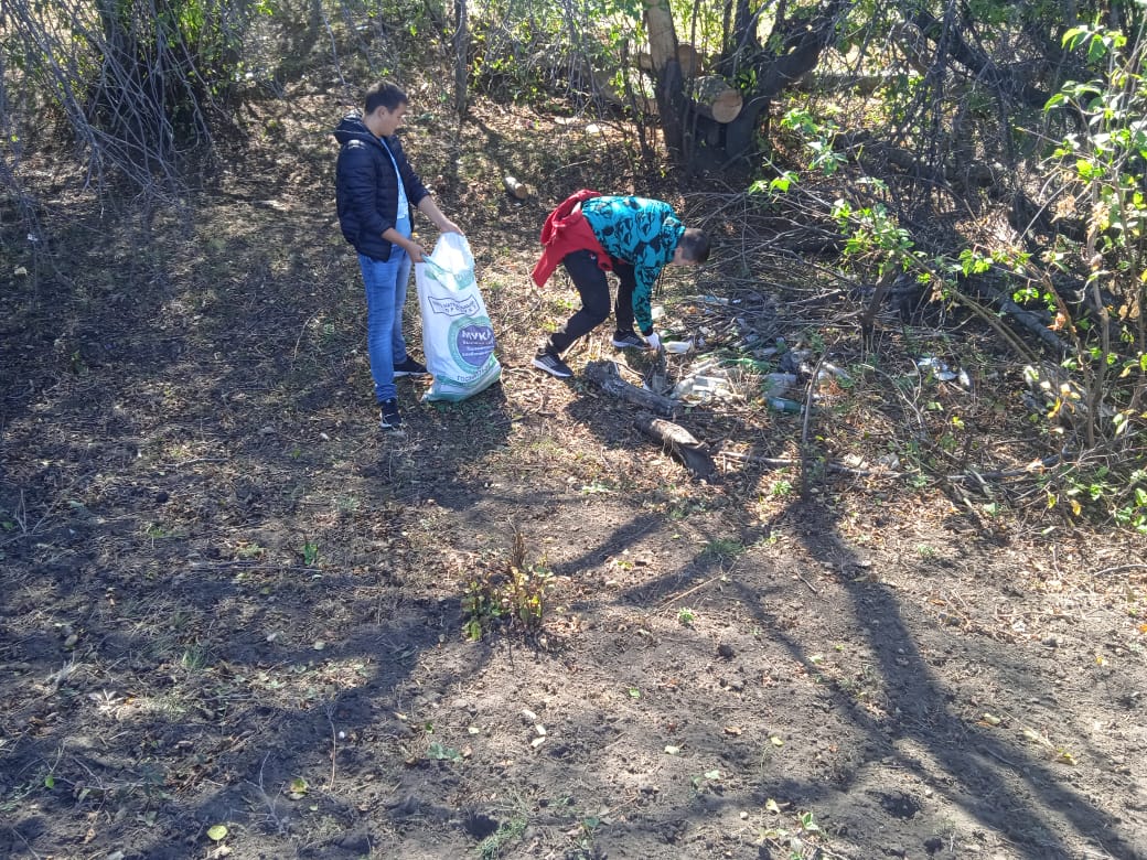 сбор мусора